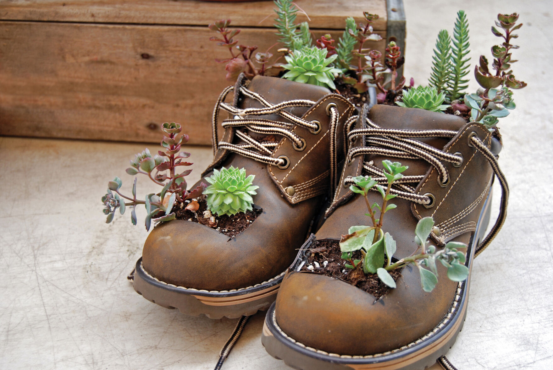 Boot garden containers